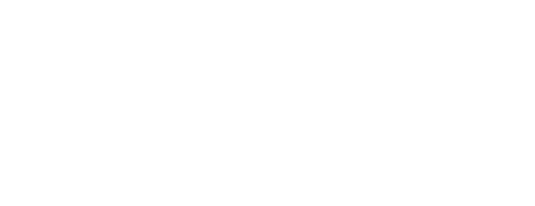 Shopify Partner