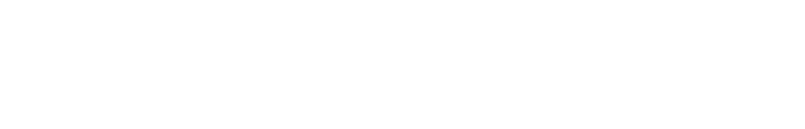 Shopify Partner